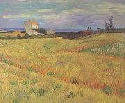 Vincent Van Gogh Wheat Field (nn04) Spain oil painting artist